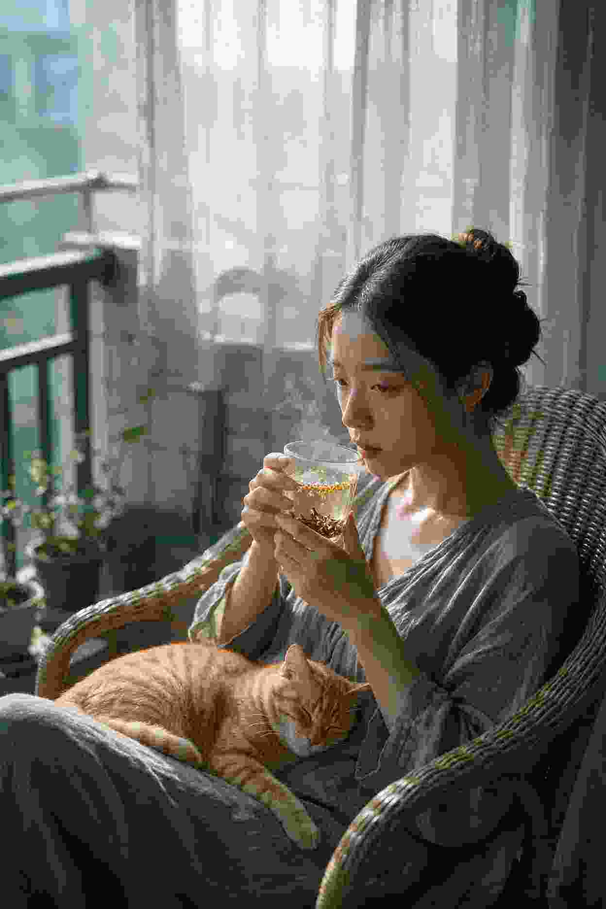 动画